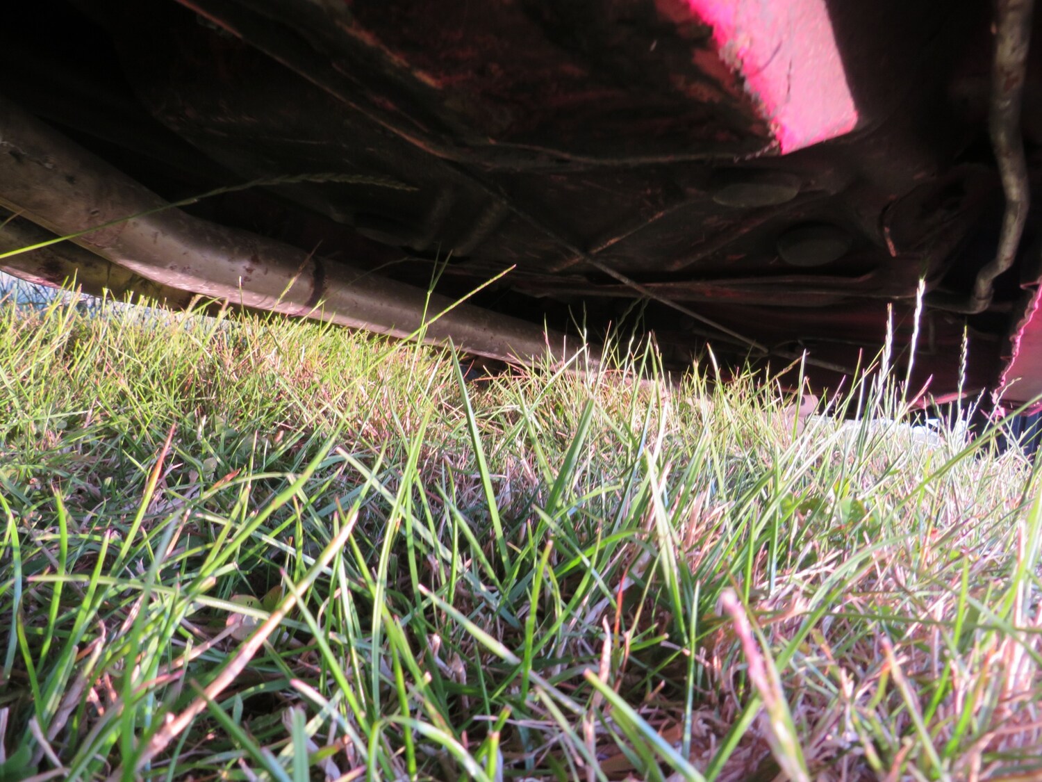 Used Dodge Charger 1971 for sale - 75025825: Photo 61