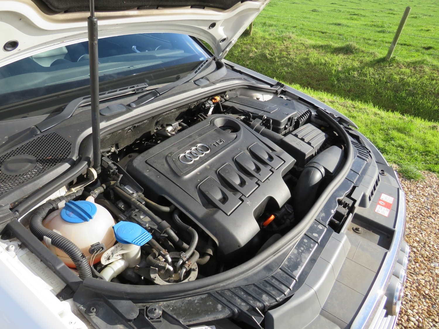 Used Audi A3 2010 for sale - 76369420: Photo 6