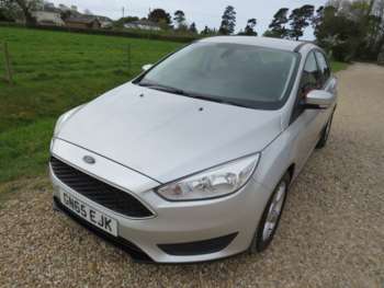 Used Ford Focus 2016 for sale - 74370293: Photo