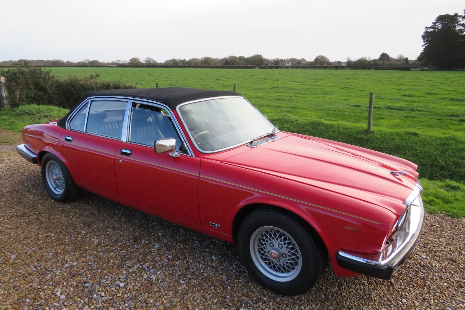 Used Jaguar XJ 1982 for sale - 76456590: Photo 1