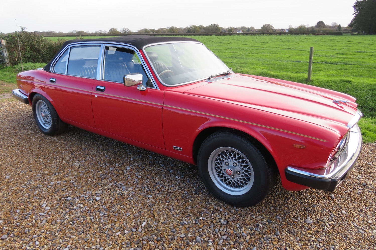 Used Jaguar XJ 1982 for sale - 76456590: Photo 15