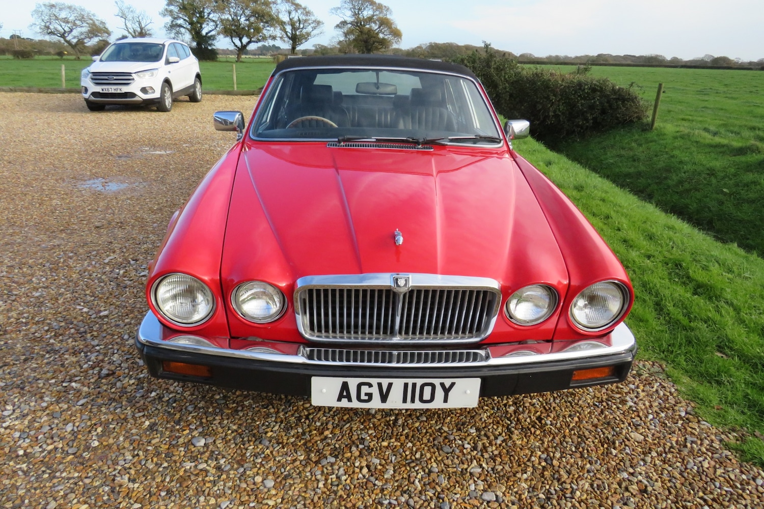 Used Jaguar XJ 1982 for sale - 76456590: Photo 17