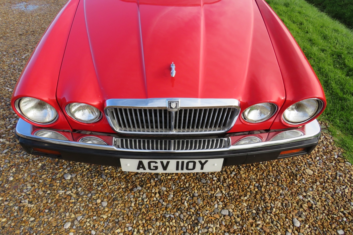 Used Jaguar XJ 1982 for sale - 76456590: Photo 3