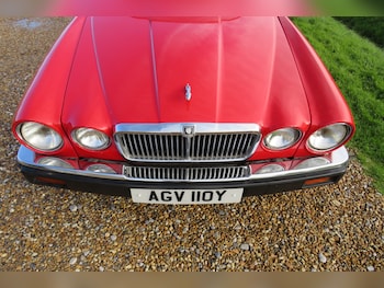 Used Jaguar XJ 1982 for sale - 76456590: Photo