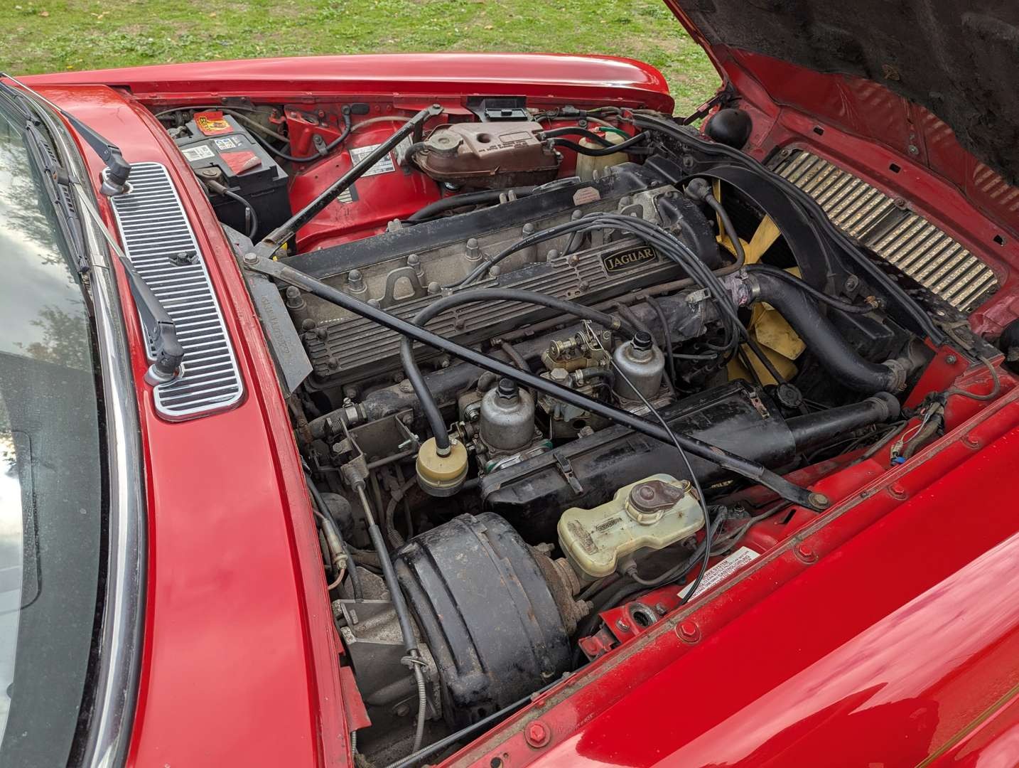 Used Jaguar XJ 1982 for sale - 76456590: Photo 53