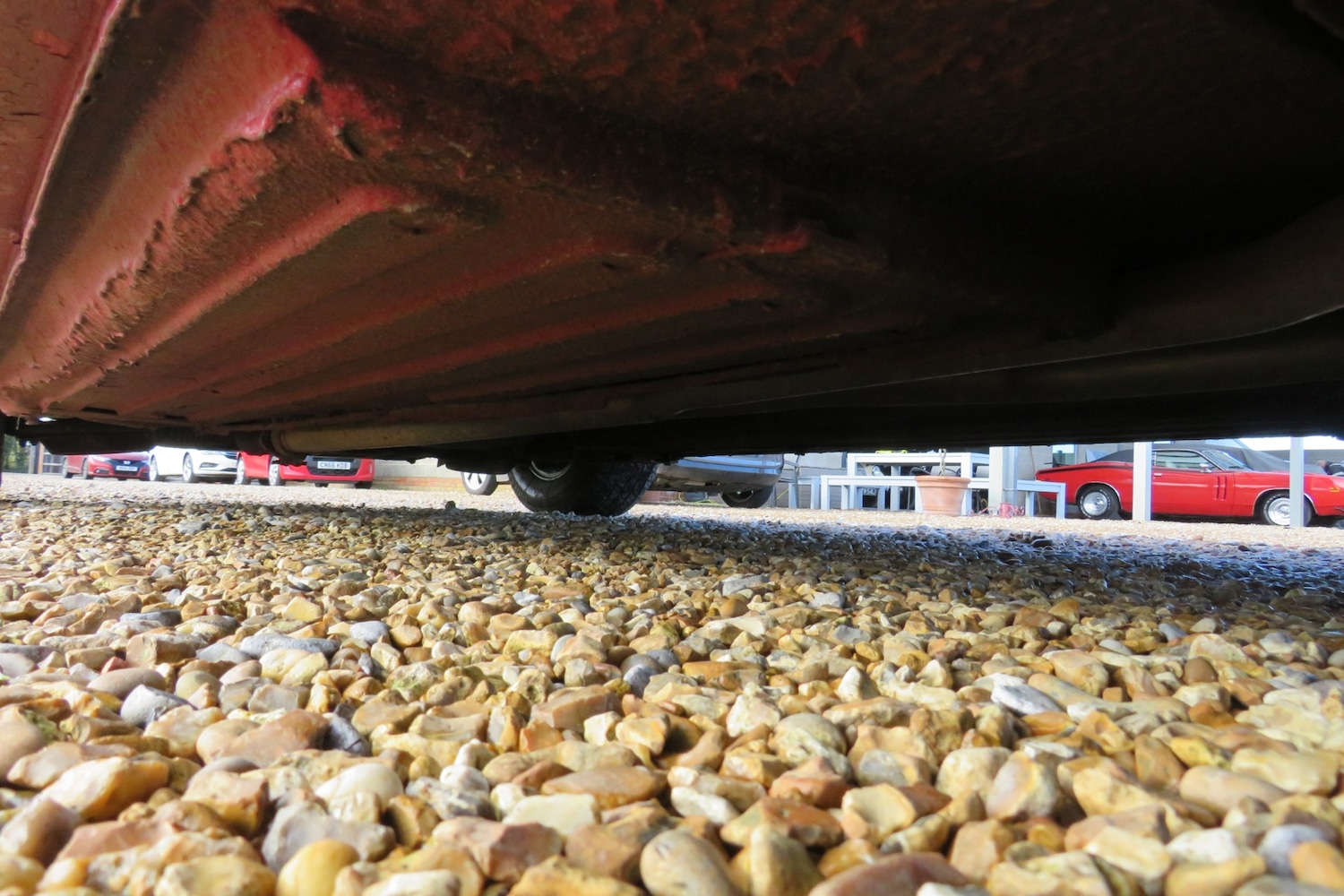 Used Jaguar XJ 1982 for sale - 76456590: Photo 57