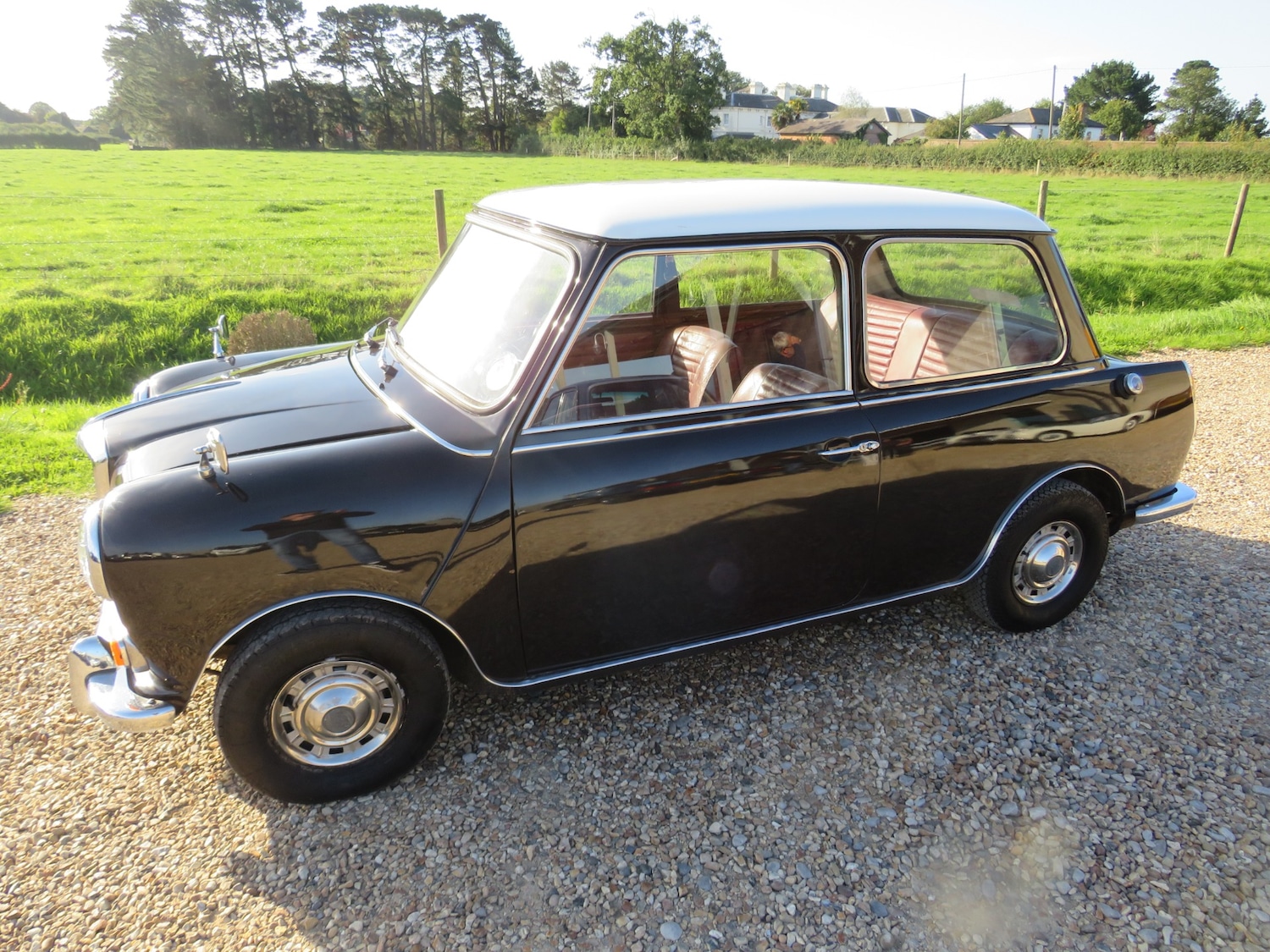 Used Riley Elf 1969 for sale - 75999292: Photo 31