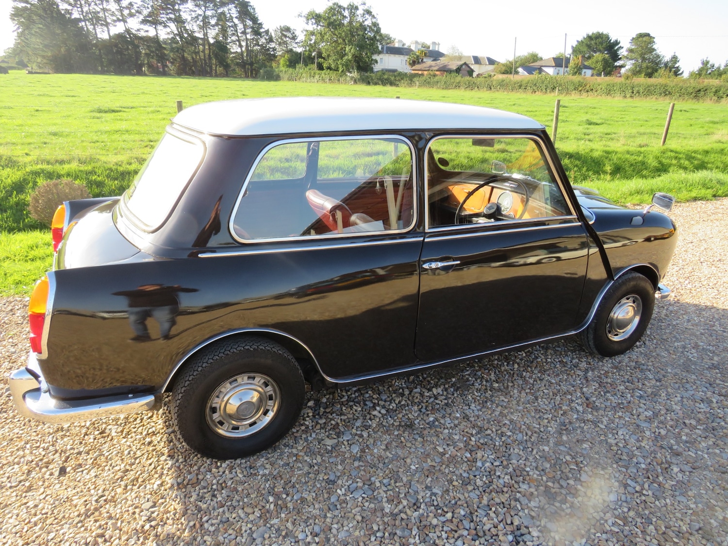 Used Riley Elf 1969 for sale - 75999292: Photo 6