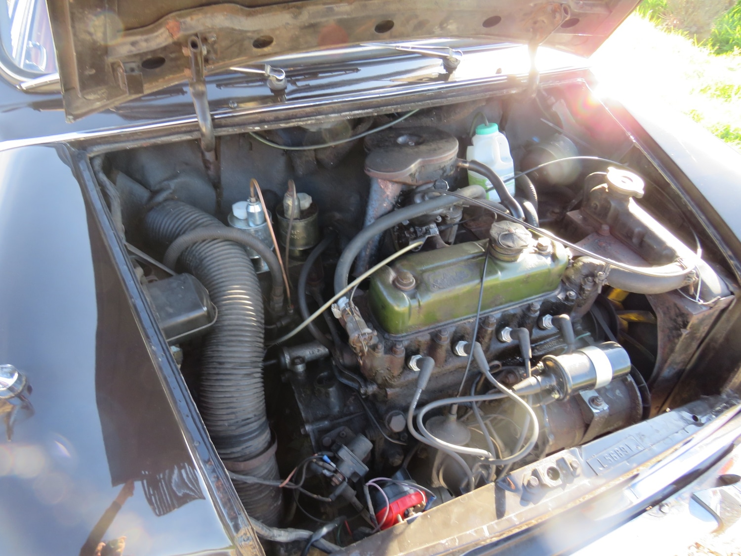 Used Riley Elf 1969 for sale - 75999292: Photo 61