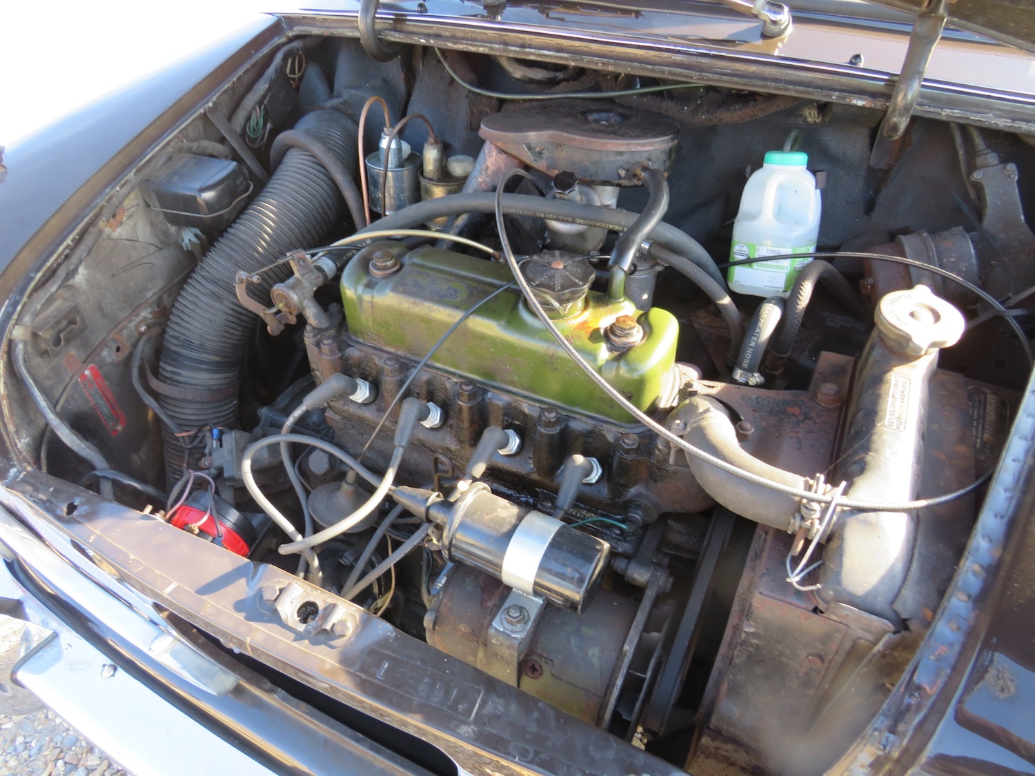 Used Riley Elf 1969 for sale - 75999292: Photo 63