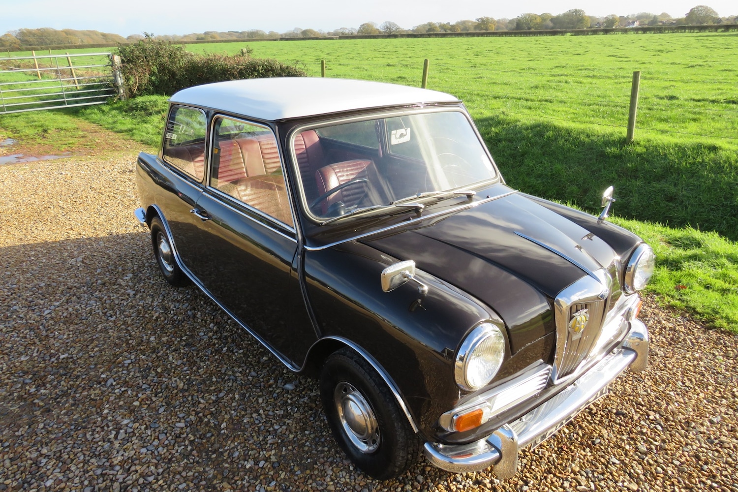 Used Riley Elf 1969 for sale - 75999292: Photo 64
