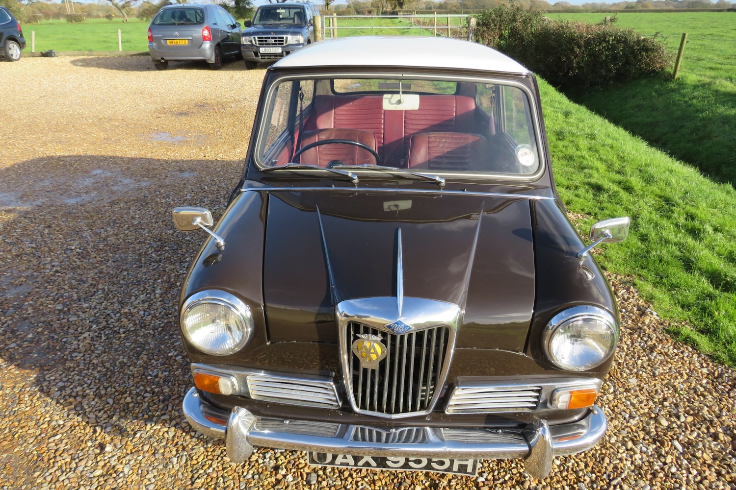 Used Riley Elf 1969 for sale - 75999292: Photo 65