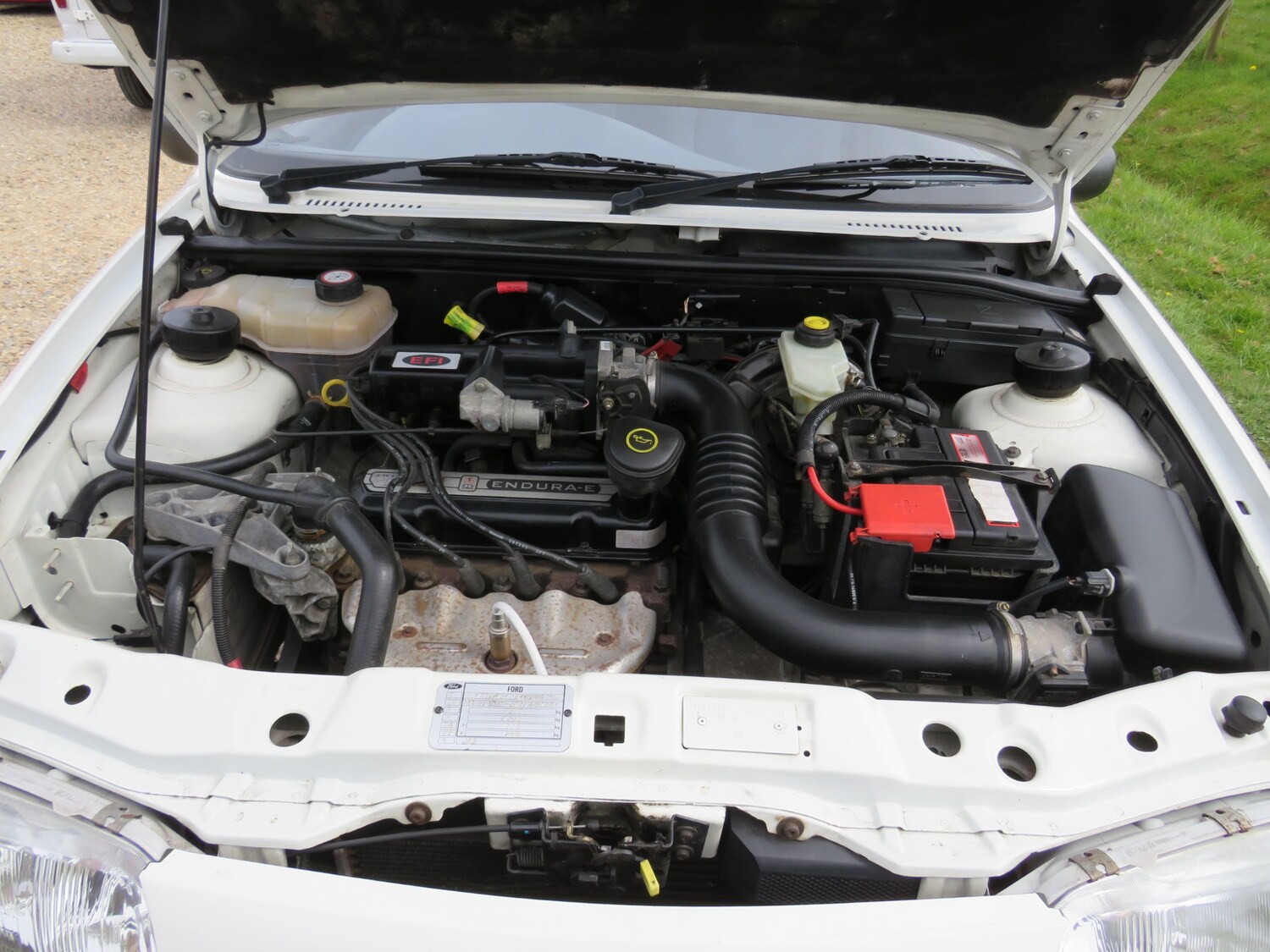 Vehicle 43