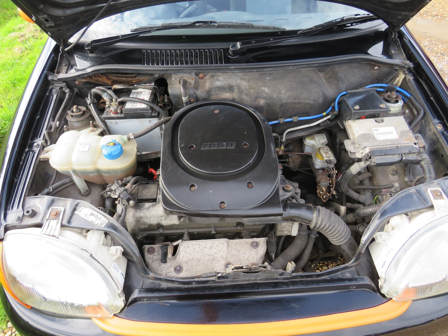 Used Fiat Seicento 2003 for sale - 76415026: Photo 25