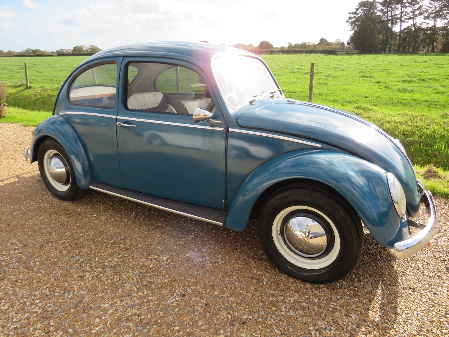 Used Volkswagen Beetle 1966 for sale - 76384315: Photo 33