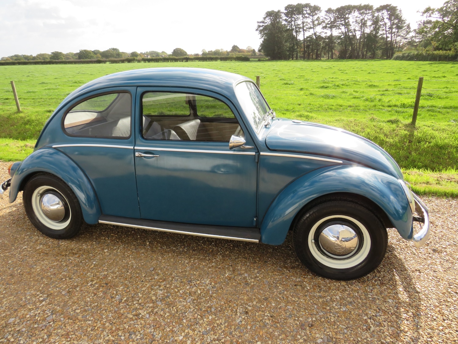 Used Volkswagen Beetle 1966 for sale - 76384315: Photo 35