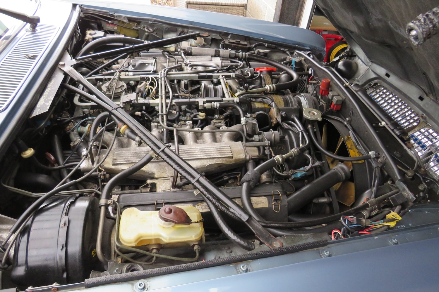 Used Daimler Series III 2020 for sale - 76897153: Photo 24