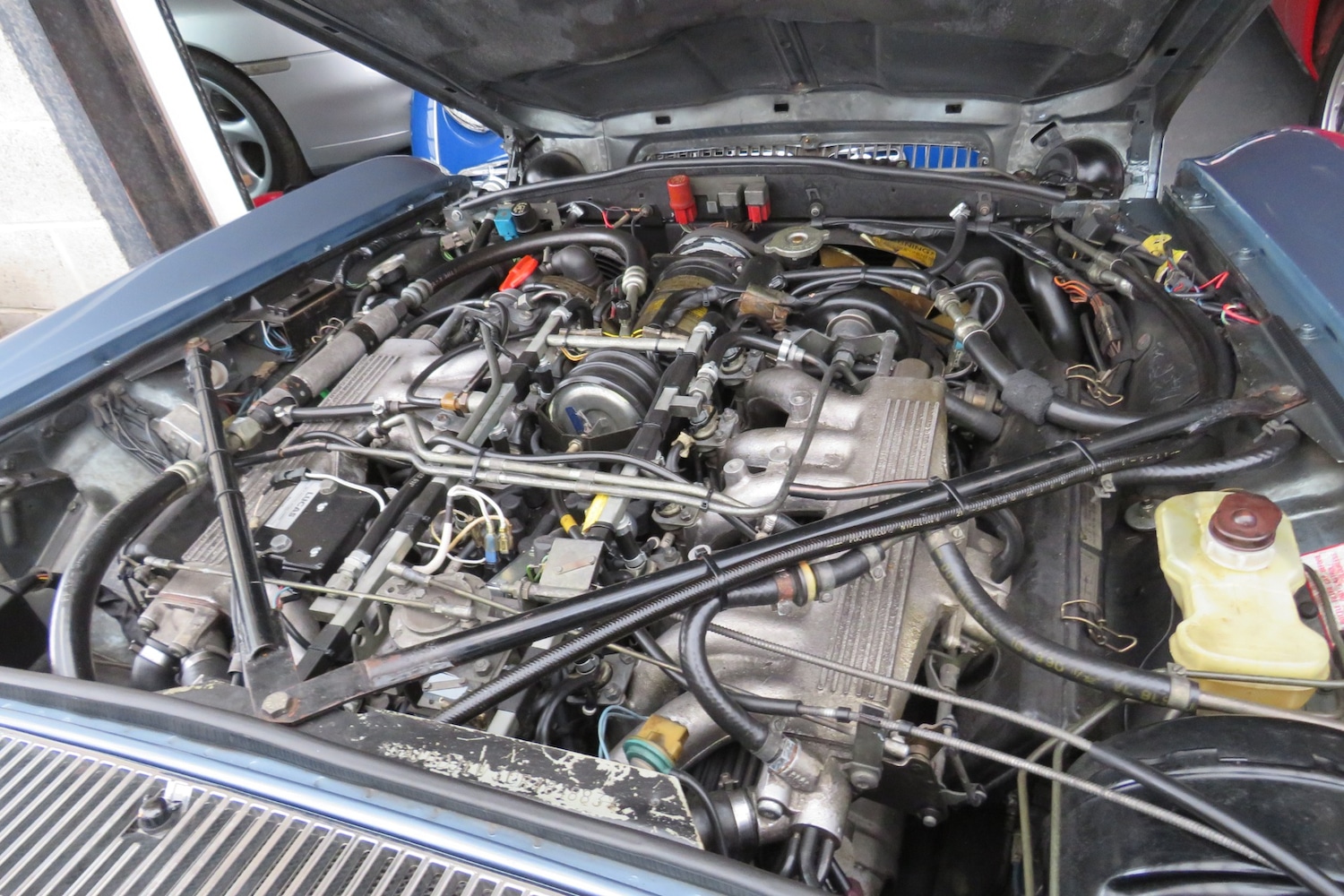 Used Daimler Series III 2020 for sale - 76897153: Photo 25