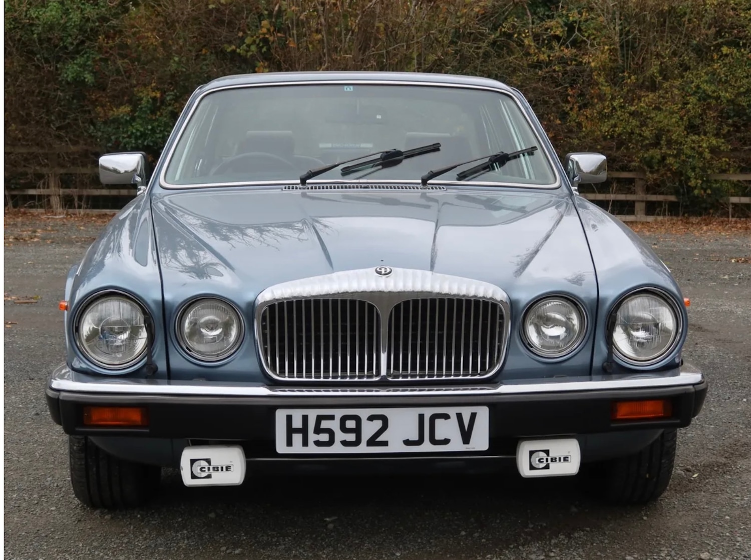 Used Daimler Series III 2020 for sale - 76897153: Photo 3