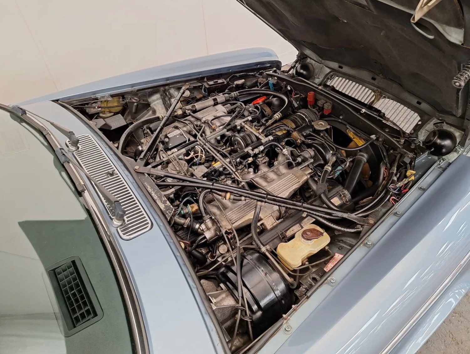 Used Daimler Series III 2020 for sale - 76897153: Photo 6