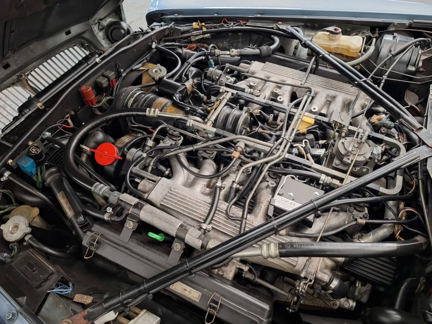 Used Daimler Series III 2020 for sale - 76897153: Photo 9