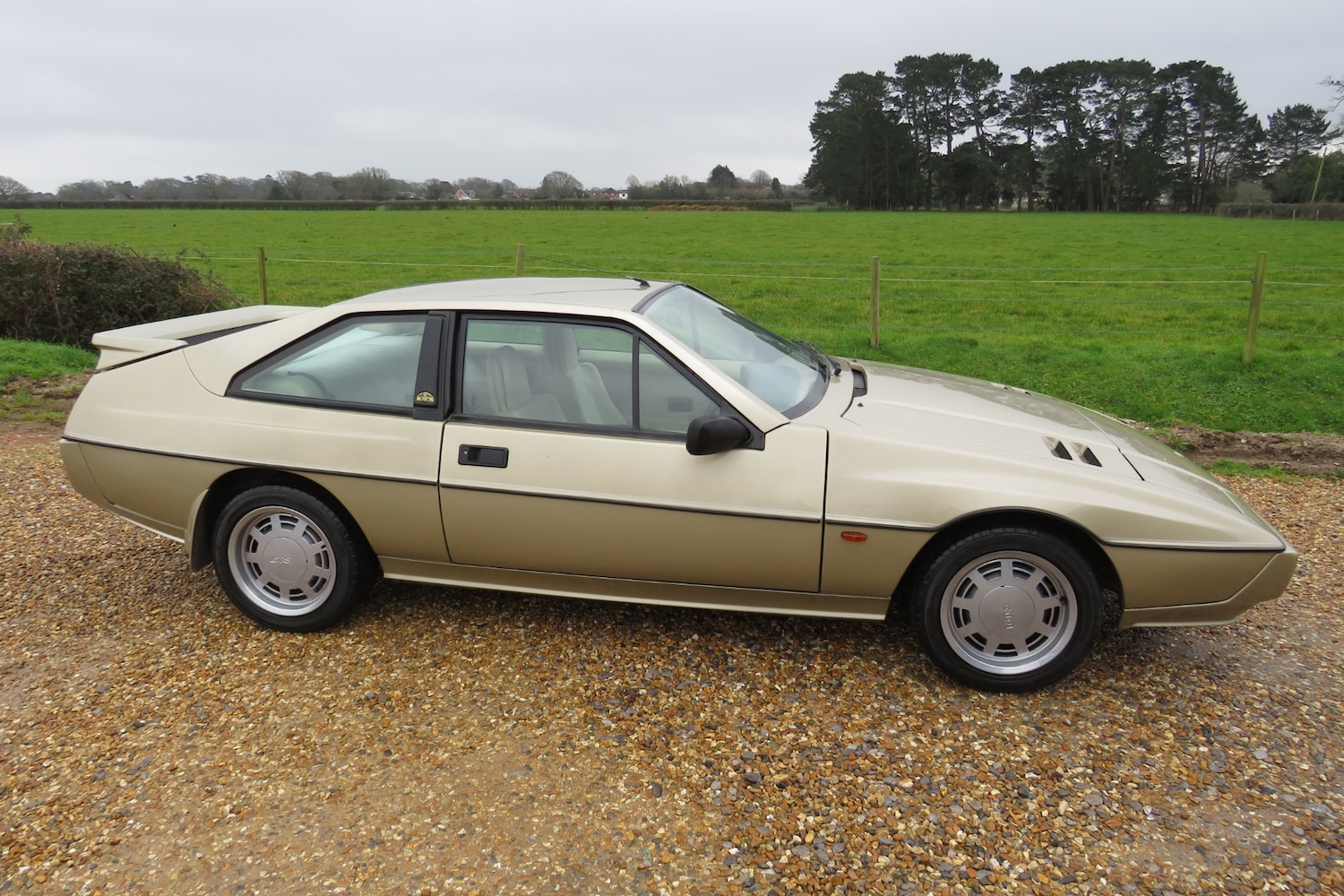 Used Lotus Eclat 1989 for sale - 77248141: Photo 15