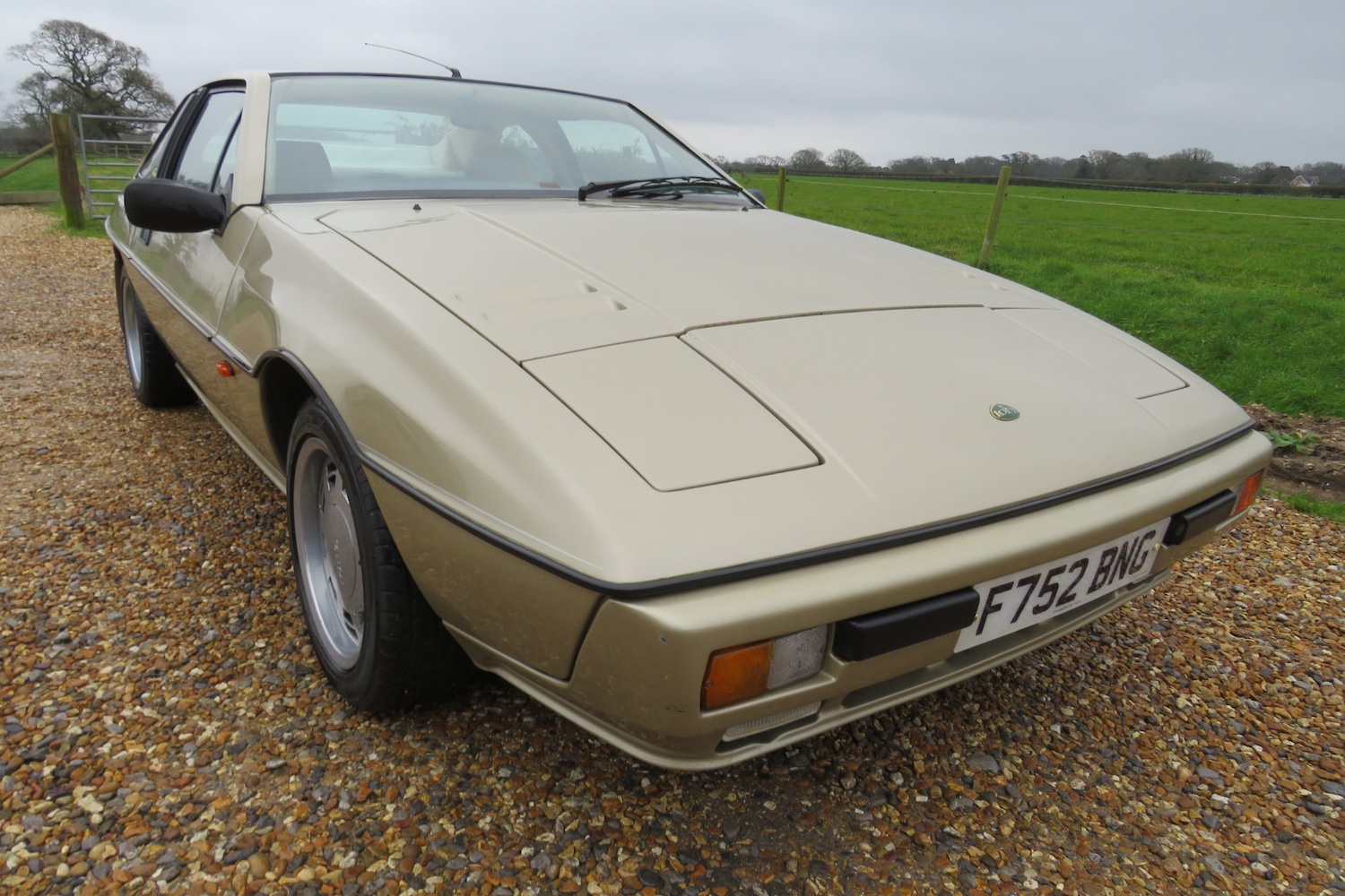 Used Lotus Eclat 1989 for sale - 77248141: Photo 18