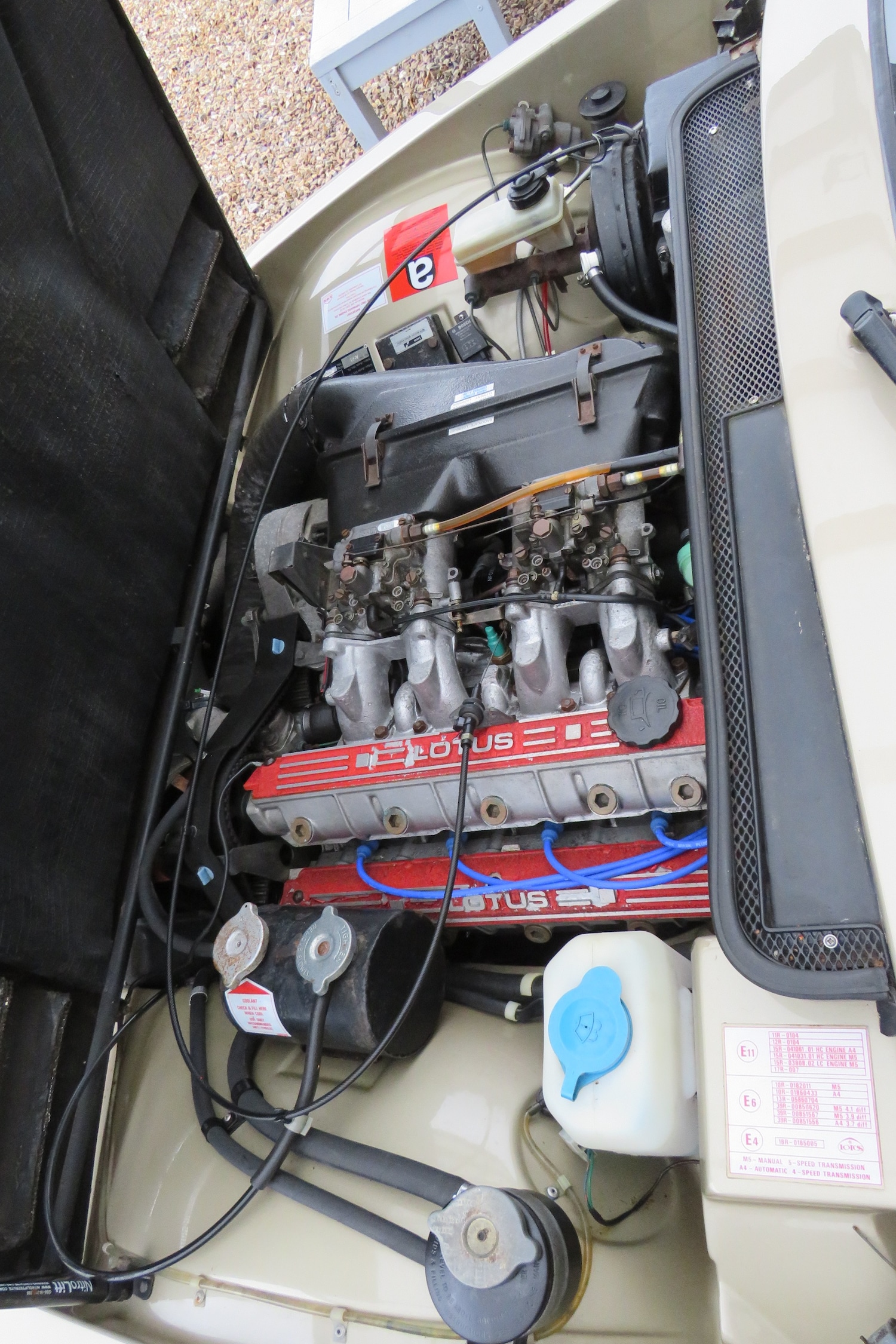 Used Lotus Eclat 1989 for sale - 77248141: Photo 21