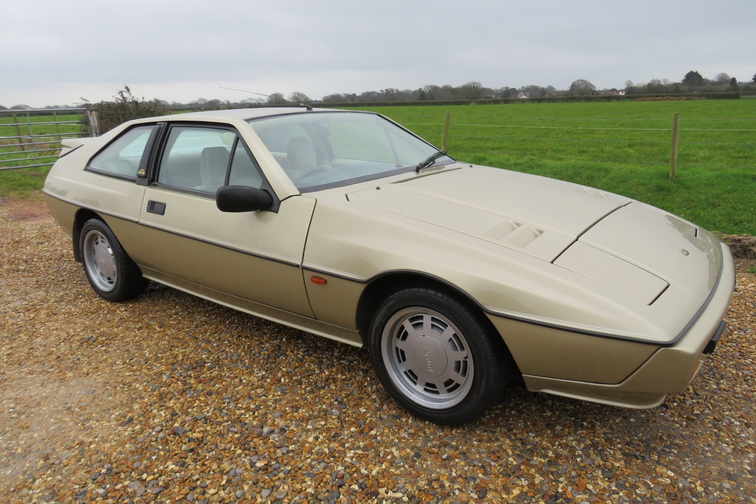 Used Lotus Eclat 1989 for sale - 77248141: Photo 22