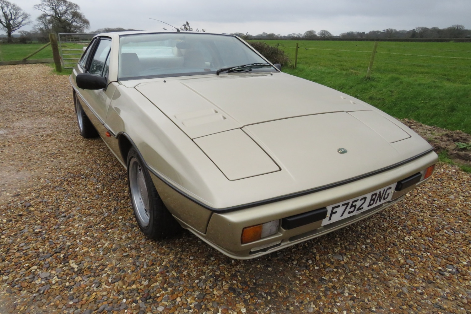 Used Lotus Eclat 1989 for sale - 77248141: Photo 23