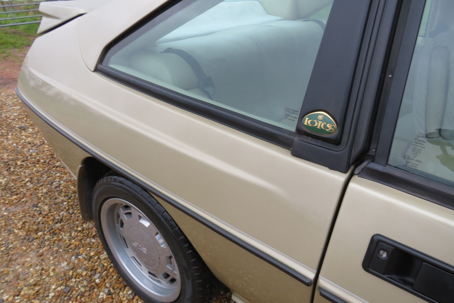 Used Lotus Eclat 1989 for sale - 77248141: Photo 25