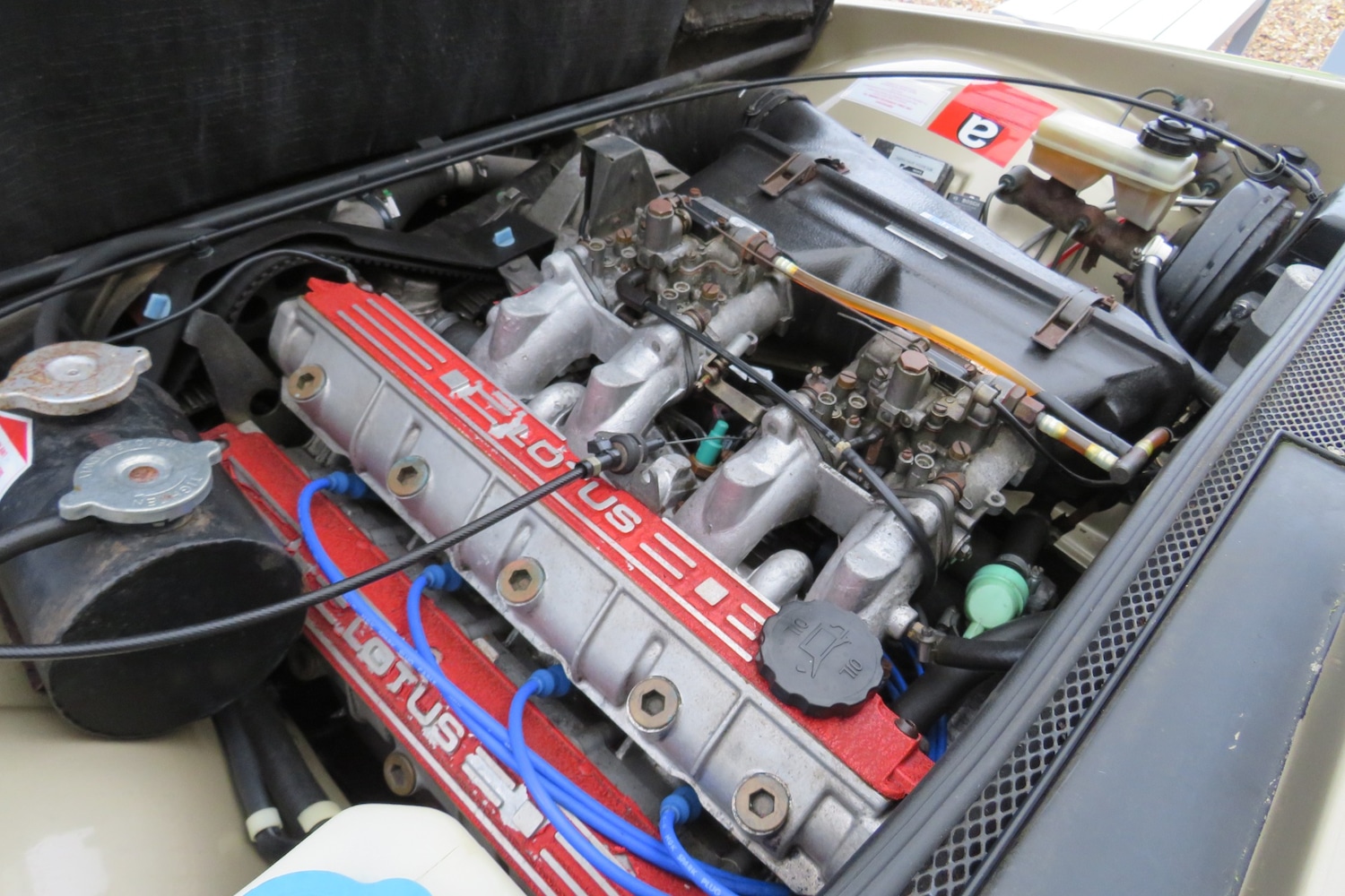 Used Lotus Eclat 1989 for sale - 77248141: Photo 3