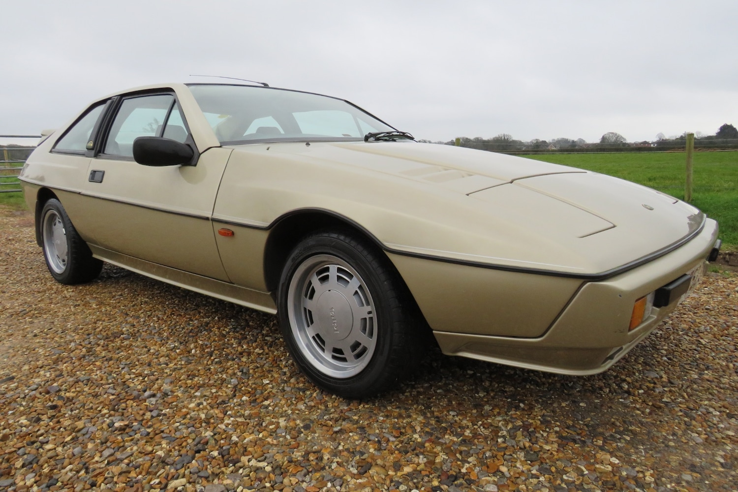 Used Lotus Eclat 1989 for sale - 77248141: Photo 46