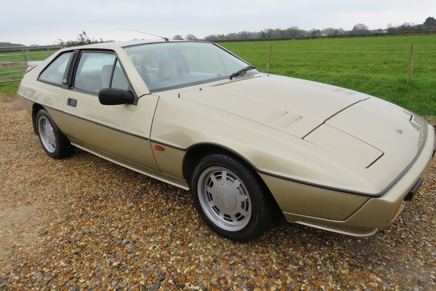 Used Lotus Eclat 1989 for sale - 77248141: Photo 47