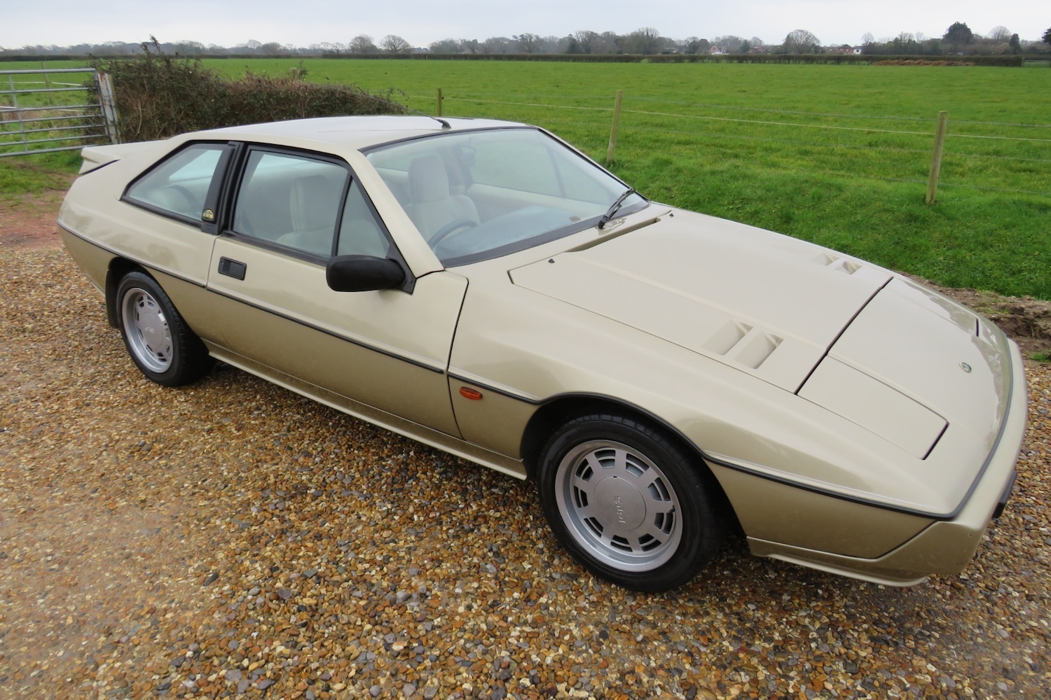 Used Lotus Eclat 1989 for sale - 77248141: Photo 48