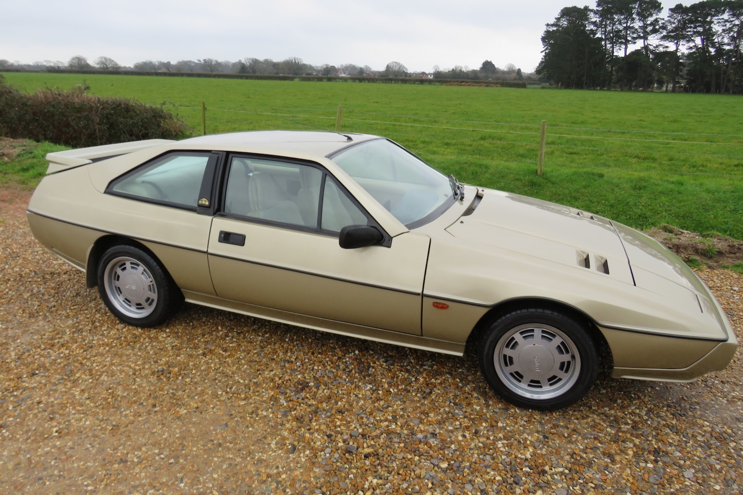 Used Lotus Eclat 1989 for sale - 77248141: Photo 49