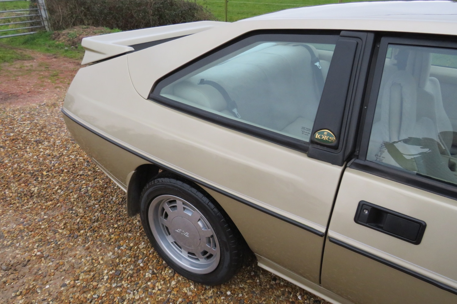 Used Lotus Eclat 1989 for sale - 77248141: Photo 50