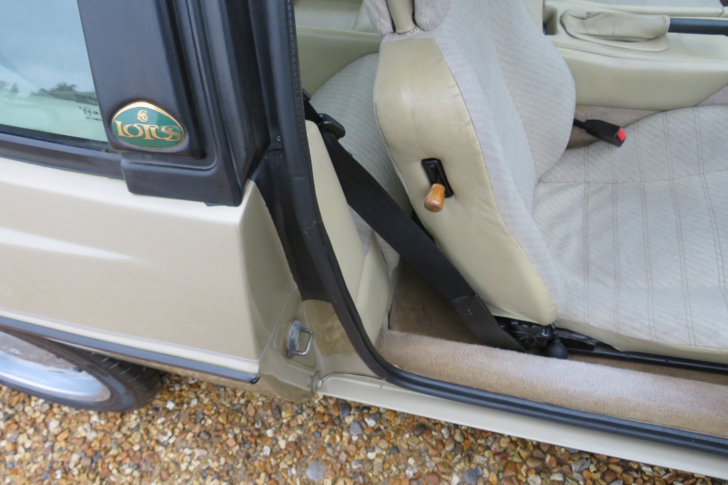 Used Lotus Eclat 1989 for sale - 77248141: Photo 54