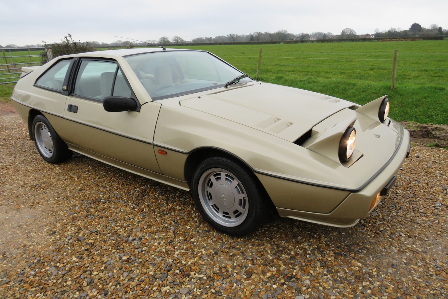 Used Lotus Eclat 1989 for sale - 77248141: Photo 59