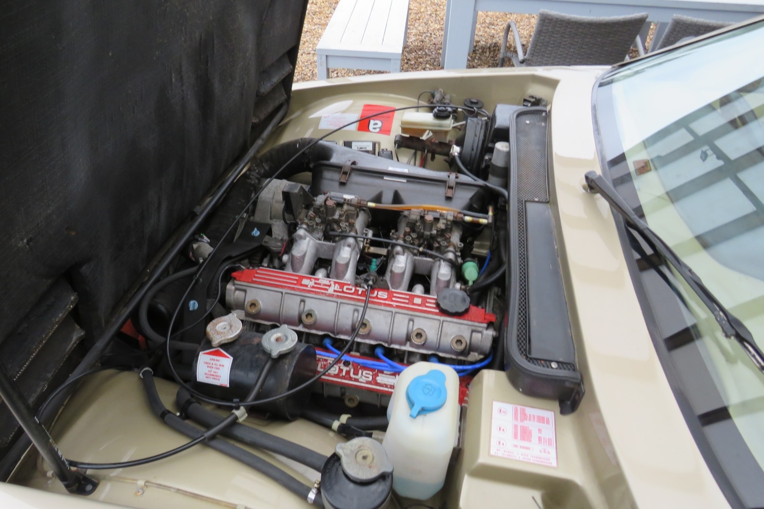 Used Lotus Eclat 1989 for sale - 77248141: Photo 6