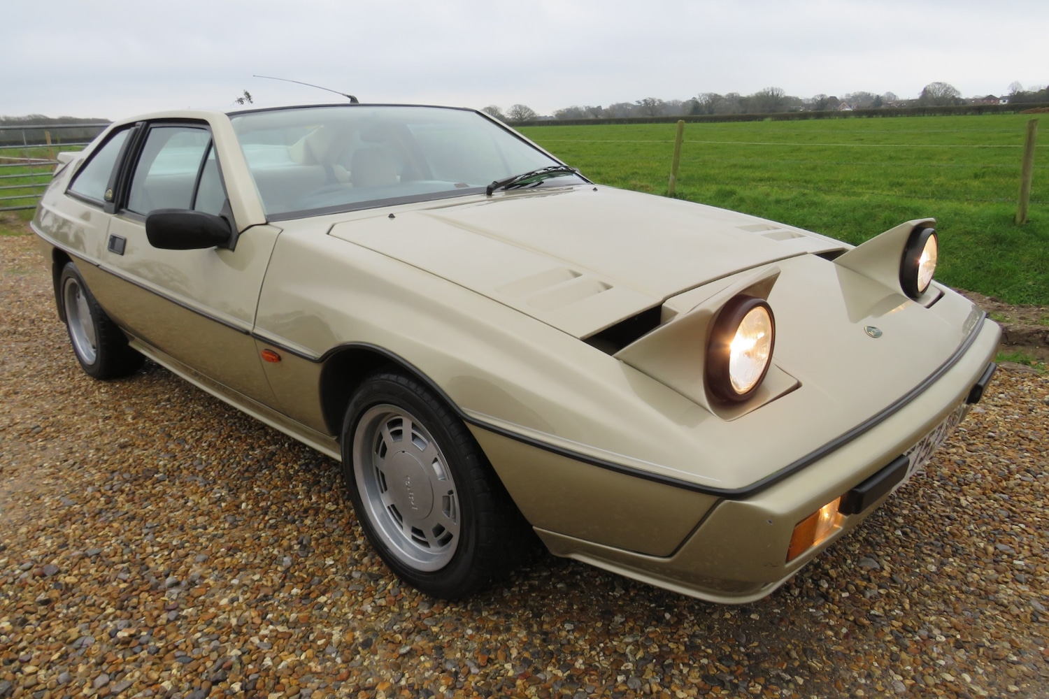 Used Lotus Eclat 1989 for sale - 77248141: Photo 60