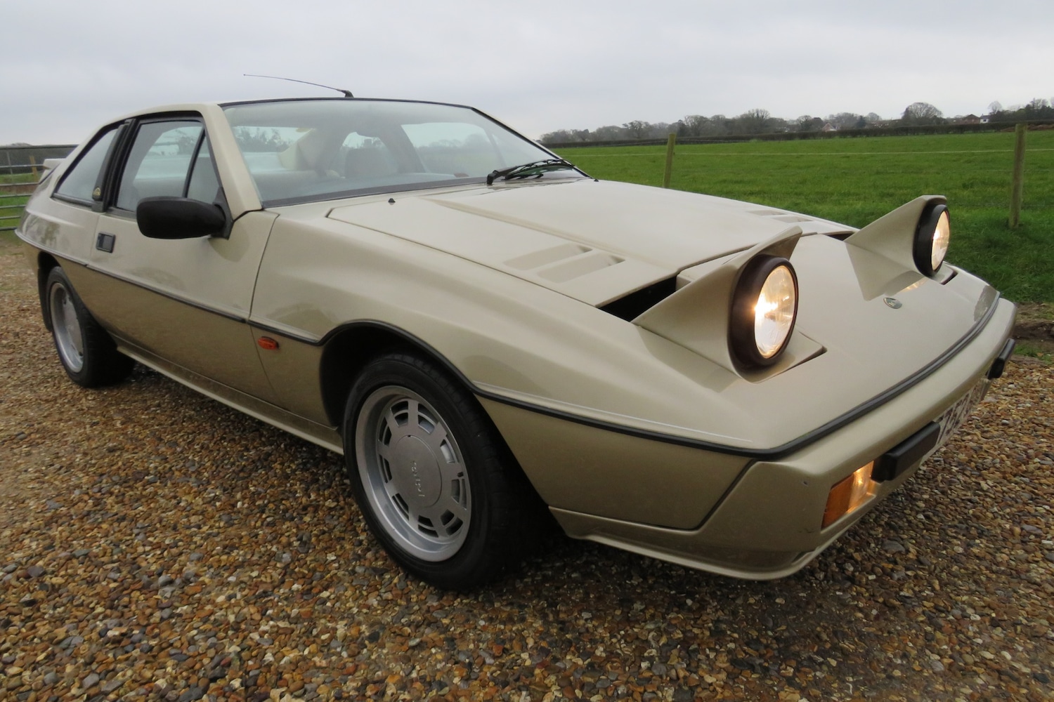 Used Lotus Eclat 1989 for sale - 77248141: Photo 61