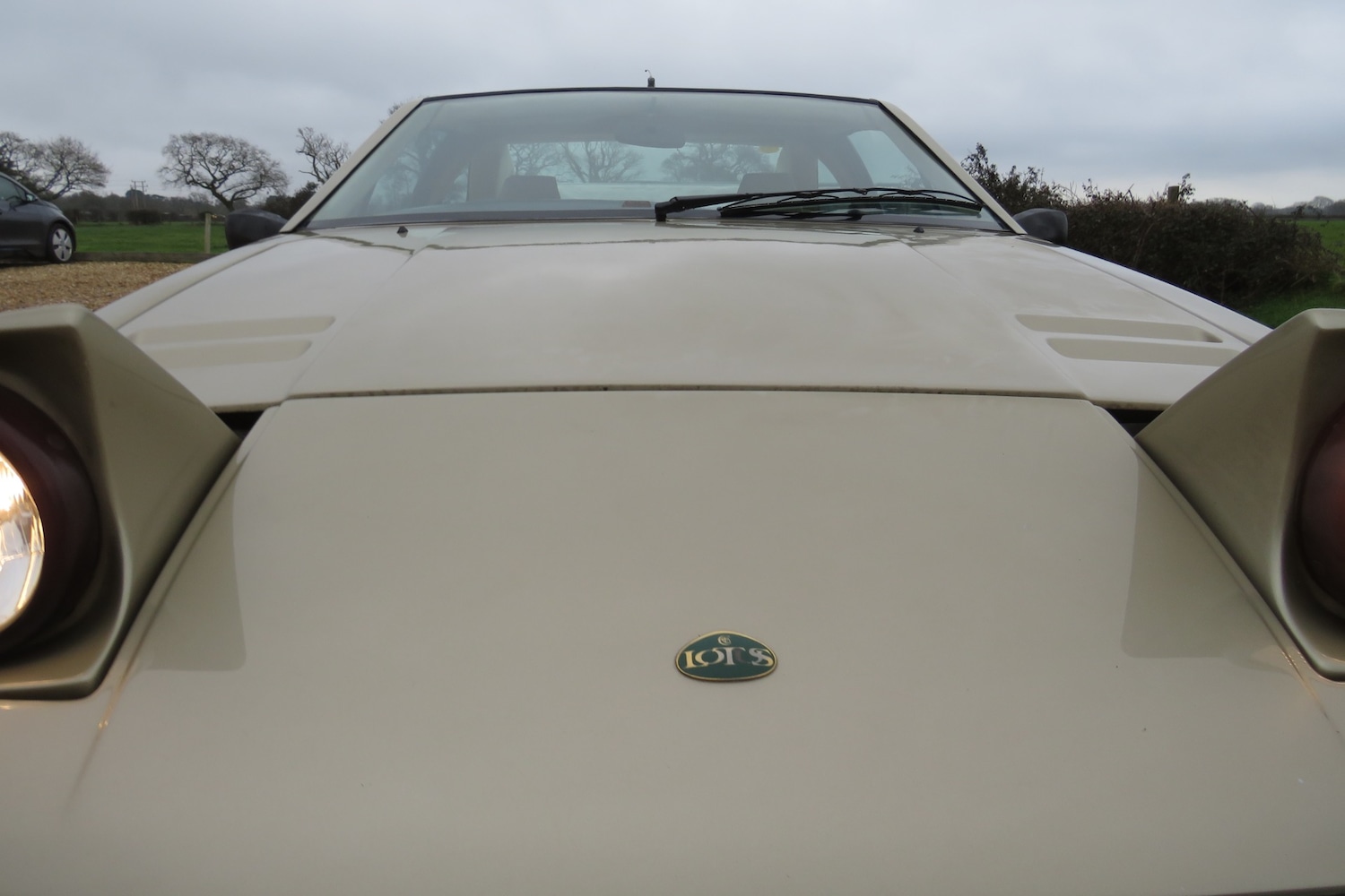 Used Lotus Eclat 1989 for sale - 77248141: Photo 70