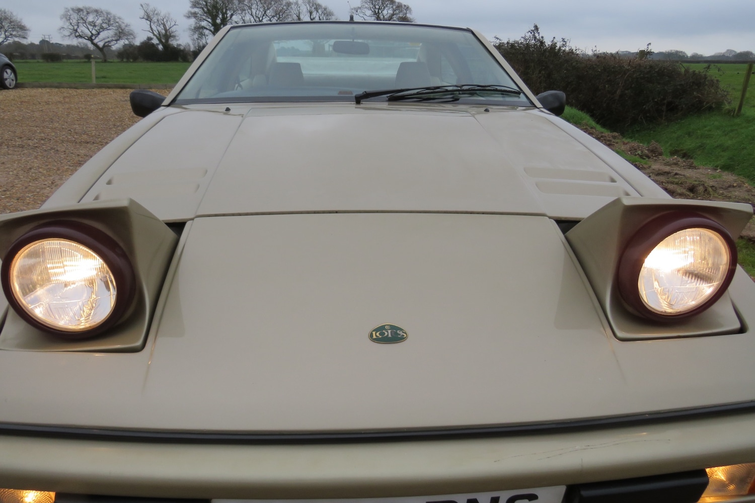 Used Lotus Eclat 1989 for sale - 77248141: Photo 71