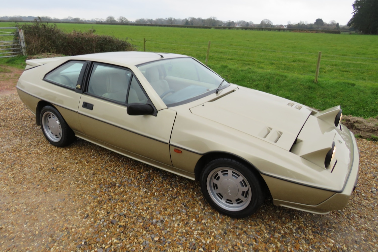 Used Lotus Eclat 1989 for sale - 77248141: Photo 73