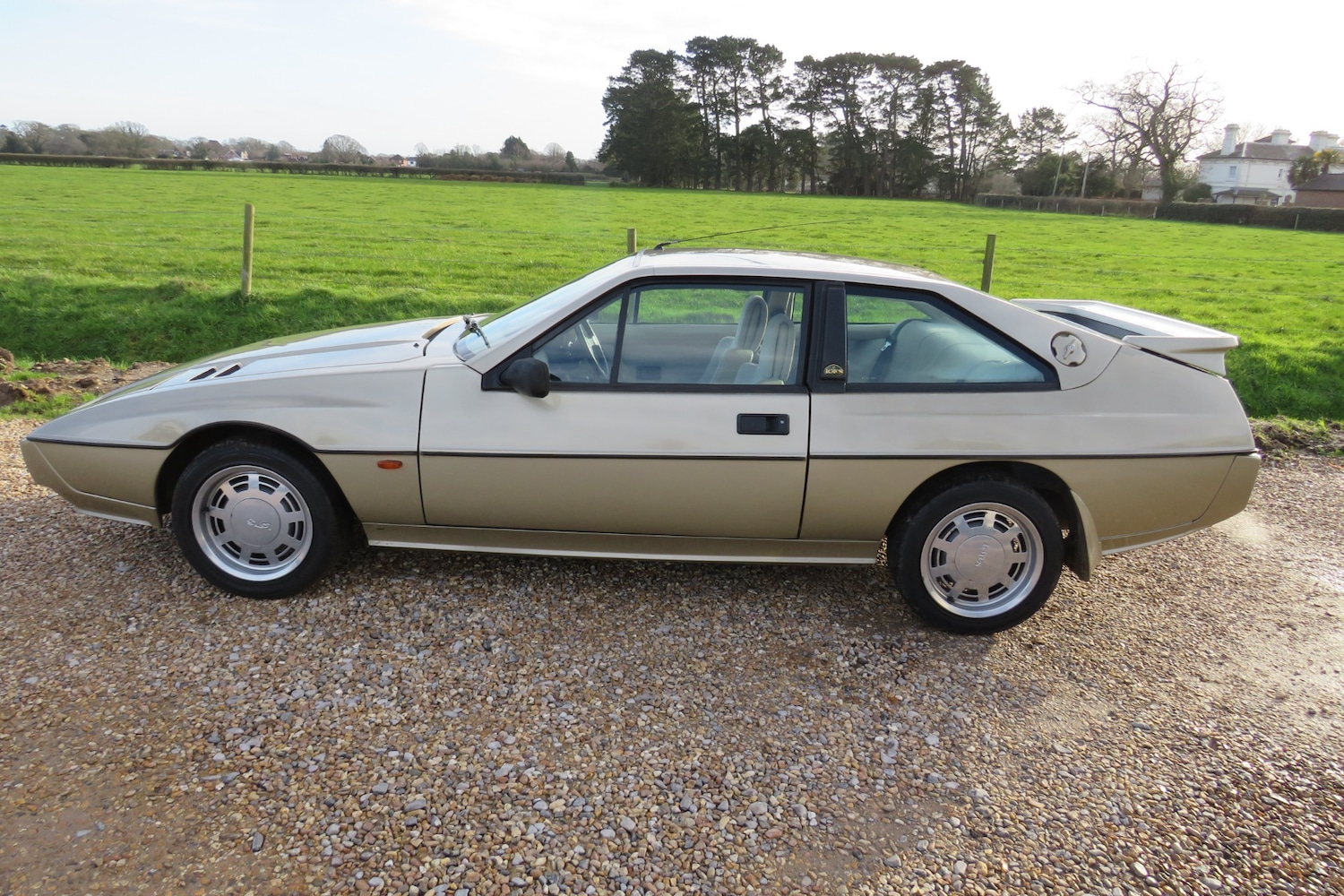 Used Lotus Eclat 1989 for sale - 77248141: Photo 74