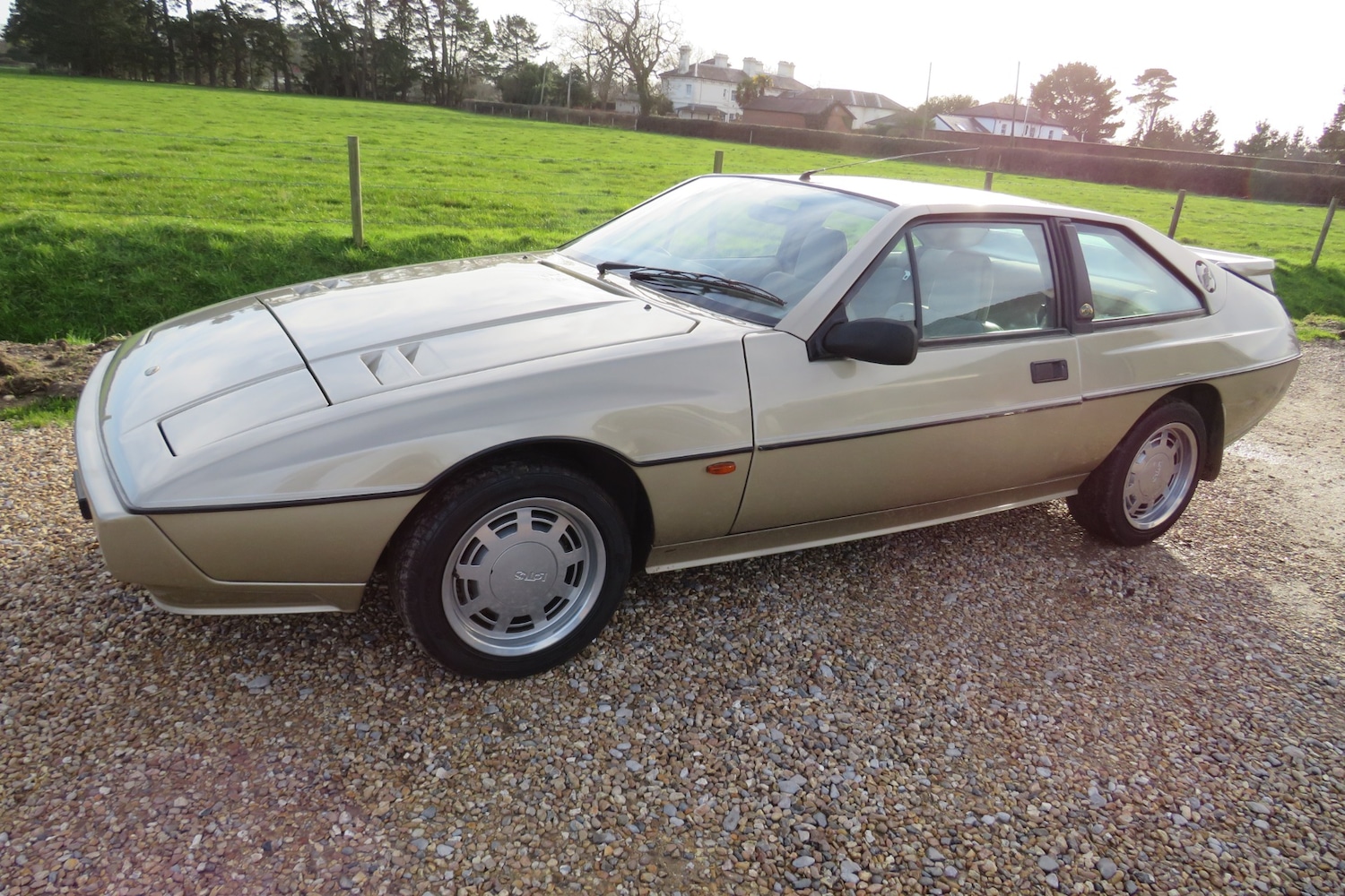 Used Lotus Eclat 1989 for sale - 77248141: Photo 75