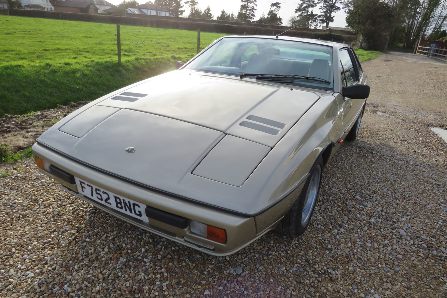 Used Lotus Eclat 1989 for sale - 77248141: Photo 76