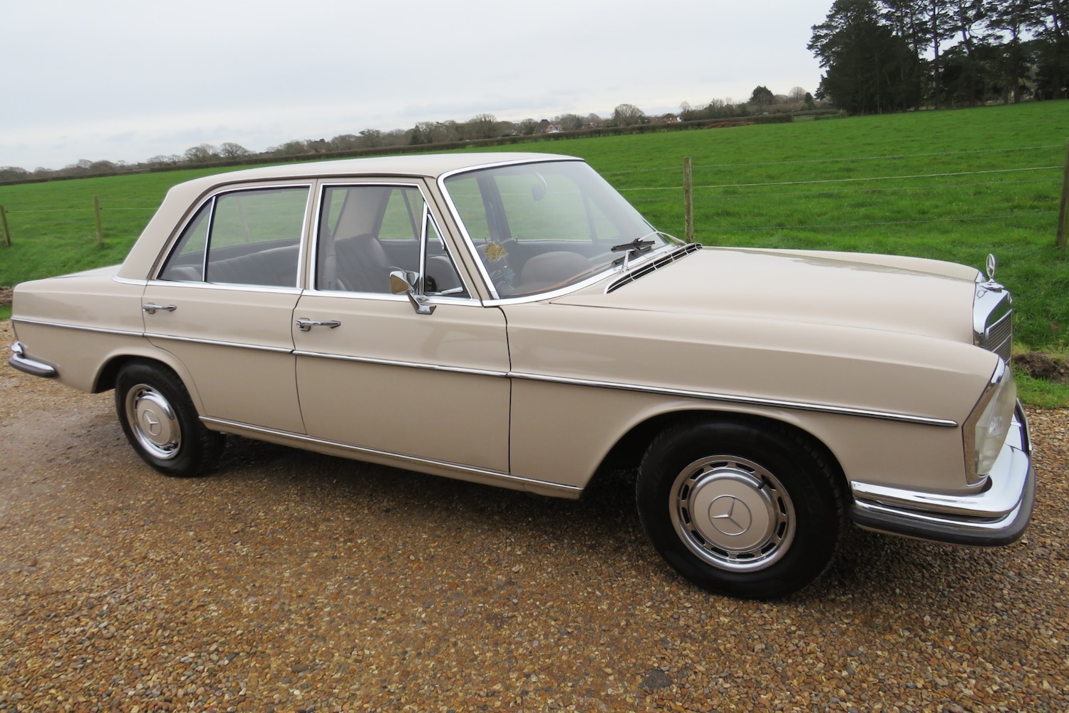 Used Mercedes-Benz 250 1967 for sale - 76922121: Photo 1