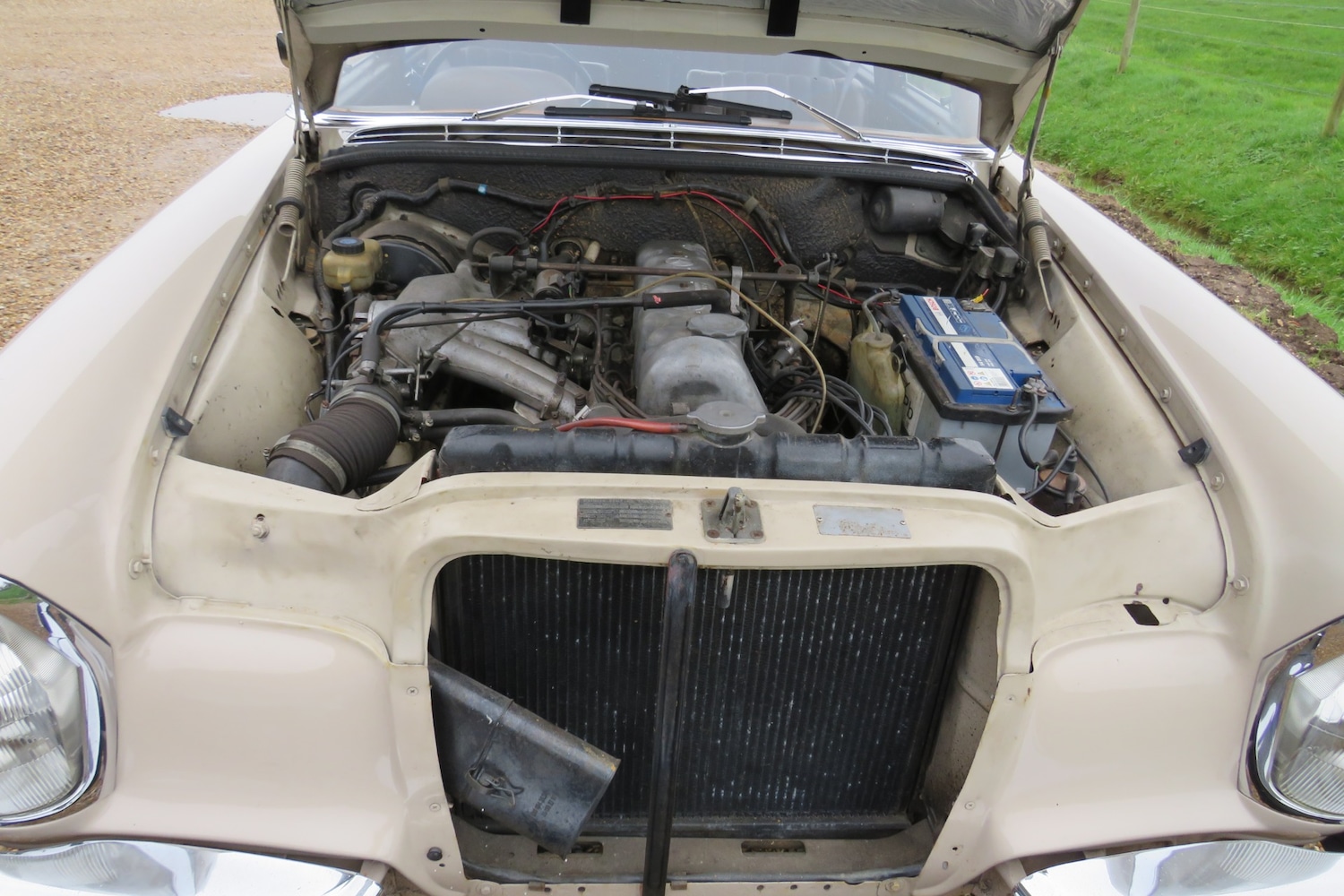 Used Mercedes-Benz 250 1967 for sale - 76922121: Photo 19